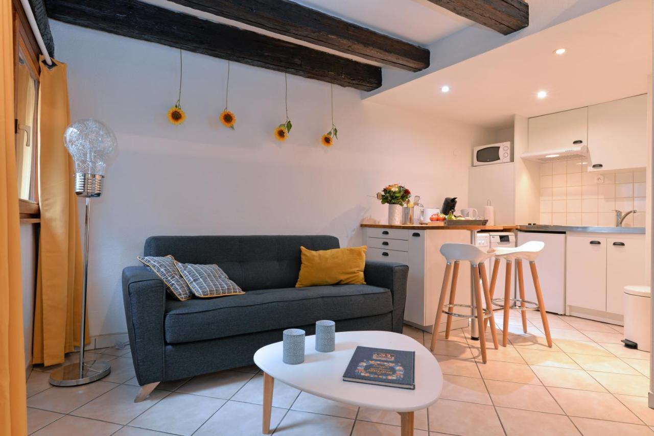 Appartement La Terrasse Sur Cour Colmar Exterior foto